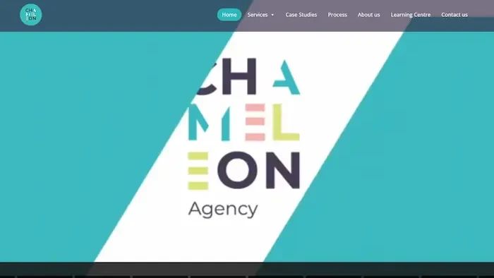 The Chameleon Agency