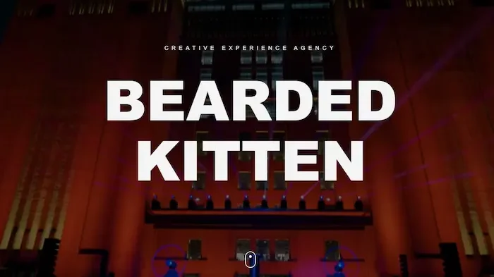 Bearded Kitten