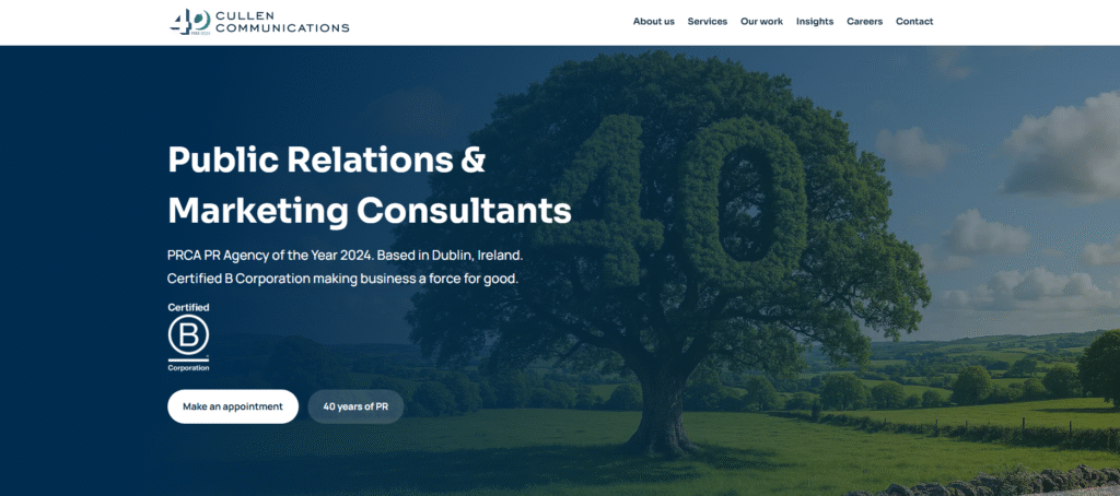 Top 10 Business Networking Event Organizers in Dublin, Ireland